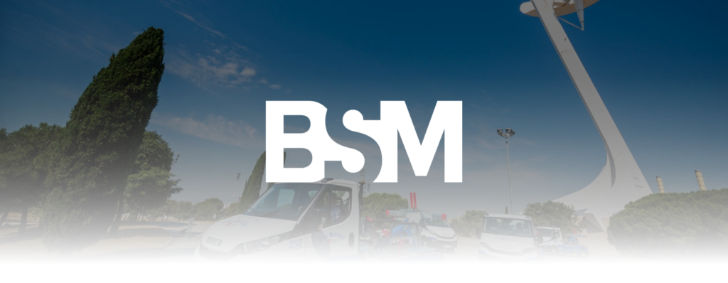 BSM Grues