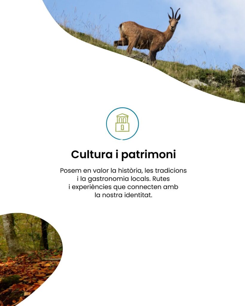 💚 El relat de Riunatur és cuidar avui per garantir el demà.Sostenibilitat, biodiversitat, cultu-3